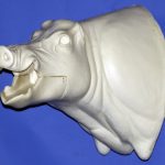 CWB06L Wild Boar - Open Mouth