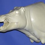 CWB06S Wild Boar - Open Mouth