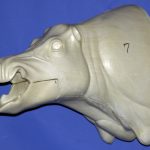 CWB07S Wild Boar - Open Mouth