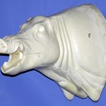 CWB08L Wild Boar - Open Mouth