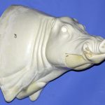 CWB08R CM Wild Boar - Closed Mouth