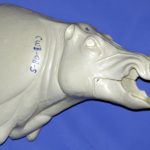 CWB08S Wild Boar - Open Mouth