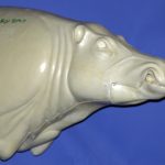 CWB10S CM Wild Boar - Closed Mouth