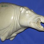 CWB10S Wild Boar - Open Mouth