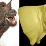 CWBPP11 Wild Boar Pivot Pedestal - Open Mouth