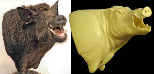 CWBPP11 Wild Boar Pivot Pedestal - Open Mouth