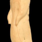 CWC1 Woodchuck - Peter Knapton