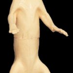 CWV30 Wolverine - Peter Knapton