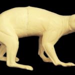 CWV31 Wolverine - Peter Knapton