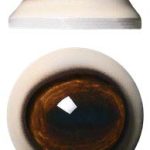DC34L 34MM Light Color Defined Cornea