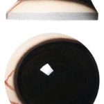 DP32D Defined Cornea Pre Rotated with Veins Dark 32 MM