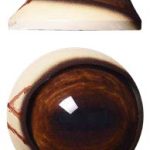 DP34L Defined Cornea Pre Rotated with Veins Light 34 MM