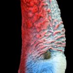 ETHD2 Hanging Dead Large - Painted