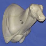 ELK116 Classics Elk Semi Sneak