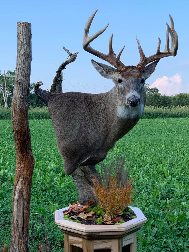 Mount by Eric Kibler