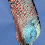 ETHD1 Hanging Dead Medium - Painted