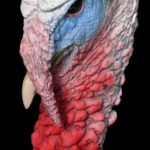 ETHS2 Half Strut - Painted