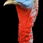 ETSA1 Standing Medium - Painted