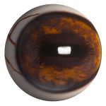 PRE36V Elk Prerotated with Veins 36 MM