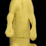 CFS21 Fisher - Peter Knapton