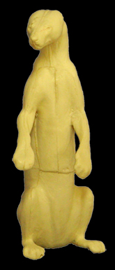 CFS21 Fisher - Peter Knapton