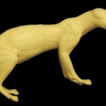 CFS24 Fisher - Peter Knapton