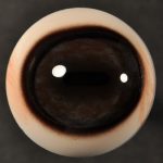 CCBIQ36 Caribou Eyes 36 MM
