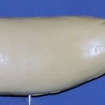 L302 Largemouth Bass (Body Action)