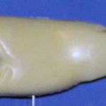 L313 Largemouth Bass (Body Action)