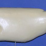 L320 Largemouth Bass (Body Action)