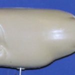 L322 Largemouth Bass (Body Action)