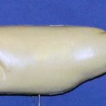 L420  Largemouth Bass (Body Action)