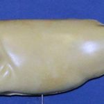 L532 Largemouth Bass (Body Action)