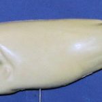 L535 Largemouth Bass (Body Action)