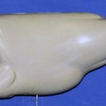 L545 Largemouth Bass (Body Action)