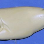 L550 Largemouth Bass (Body Action)