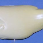 L560 Largemouth Bass (Body Action)