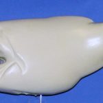 L562 Largemouth Bass Body Action