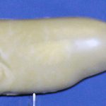 L632 Largemouth Bass (Body Action)