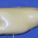 L652 Largemouth Bass (Body Action)