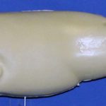 L741 Largemouth Bass (Body Action)