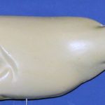 L774 Largemouth Bass (Body Action)