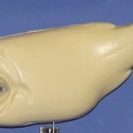 L780  Largemouth Bass (Body Action)