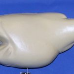 L820 Largemouth Bass (Body Action)