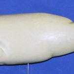 L840 Largemouth Bass (Body Action)