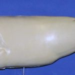 L850 Largemouth Bass (Body Action)