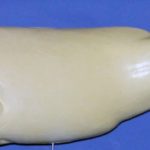 L865 Largemouth Bass (Body Action)