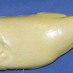 L870 - Largemouth Bass (Body Action)