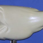 L882 Largemouth Bass (Body Action)