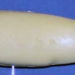 L97 Largemouth Bass  (Body Action)